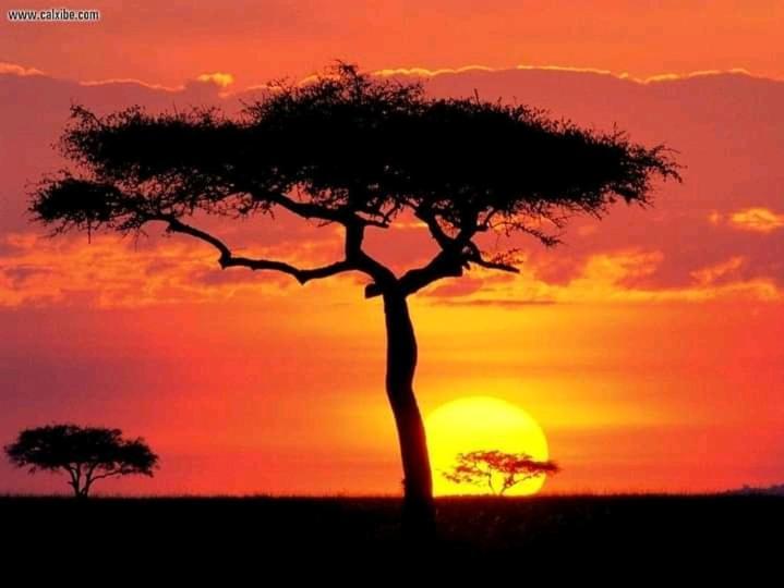 Ilkerin Camp Maasai Mara Bed and Breakfast Sekenani Εξωτερικό φωτογραφία