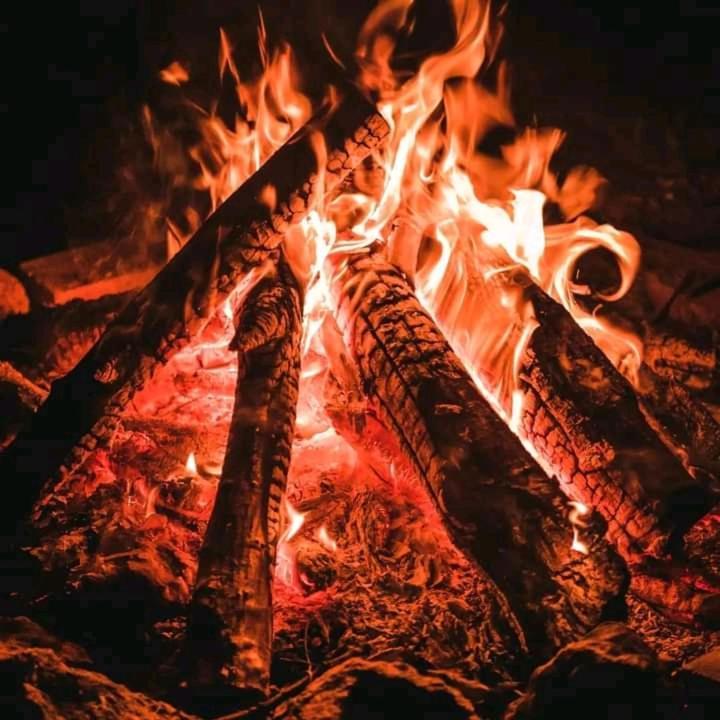Ilkerin Camp Maasai Mara Bed and Breakfast Sekenani Εξωτερικό φωτογραφία