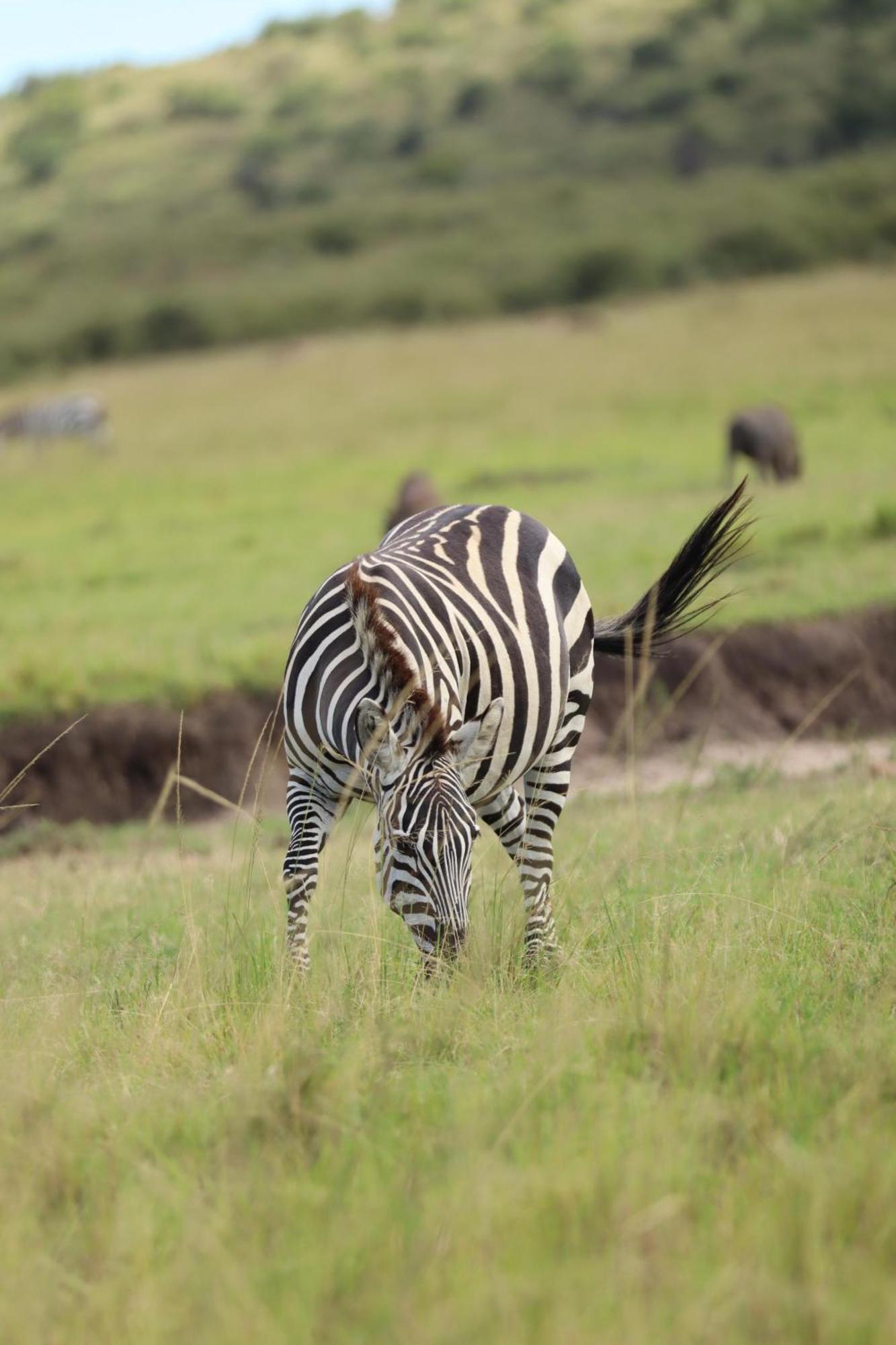 Ilkerin Camp Maasai Mara Bed and Breakfast Sekenani Εξωτερικό φωτογραφία
